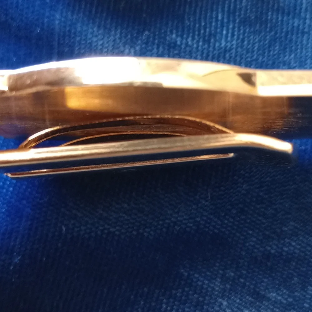 Sturgeon Electric Gold Money Clip
